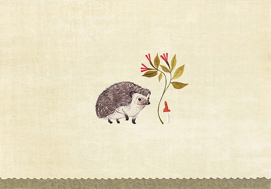 Hedgehog Blank Boxed Cards