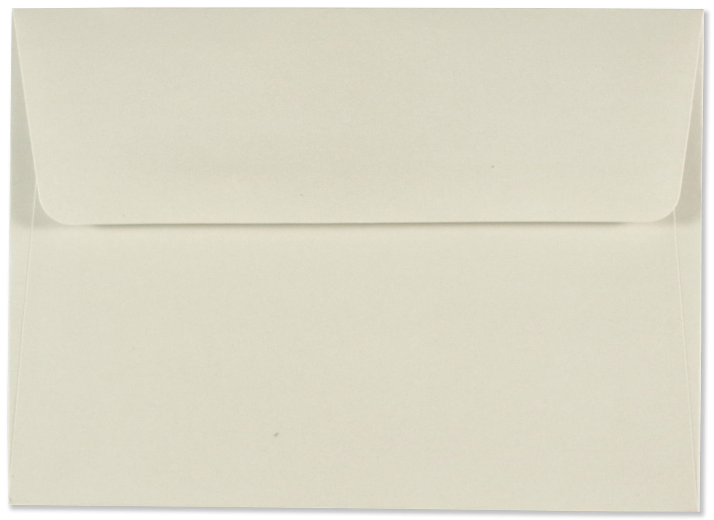 Watercolour Succulent Blank Boxed Cards