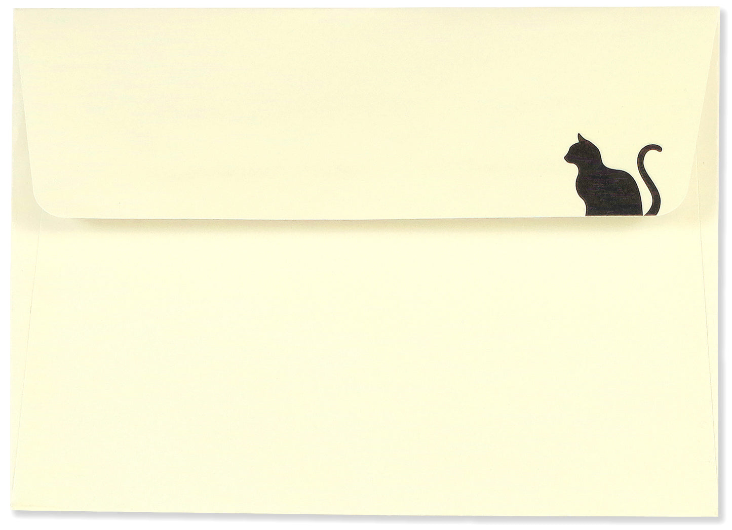 Black Cat Blank Boxed Cards