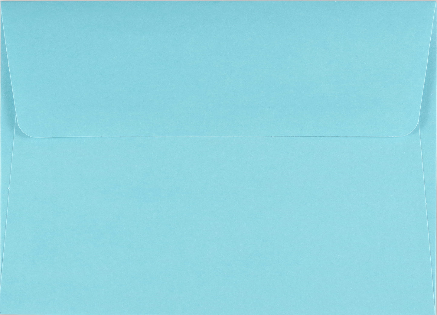 Bird Garden Blank Boxed Cards