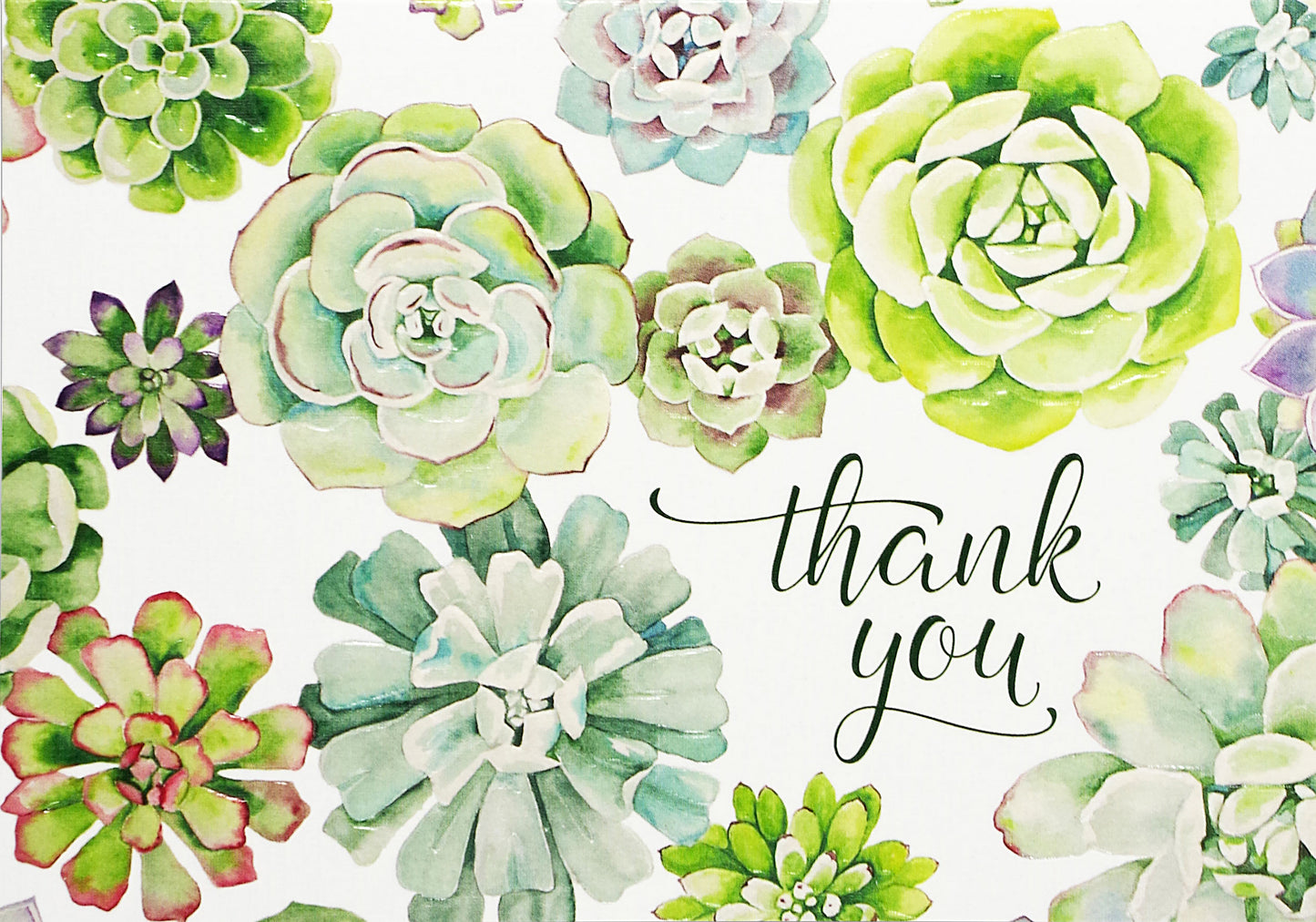 Succulent Garden Thank You Boxed Notecards