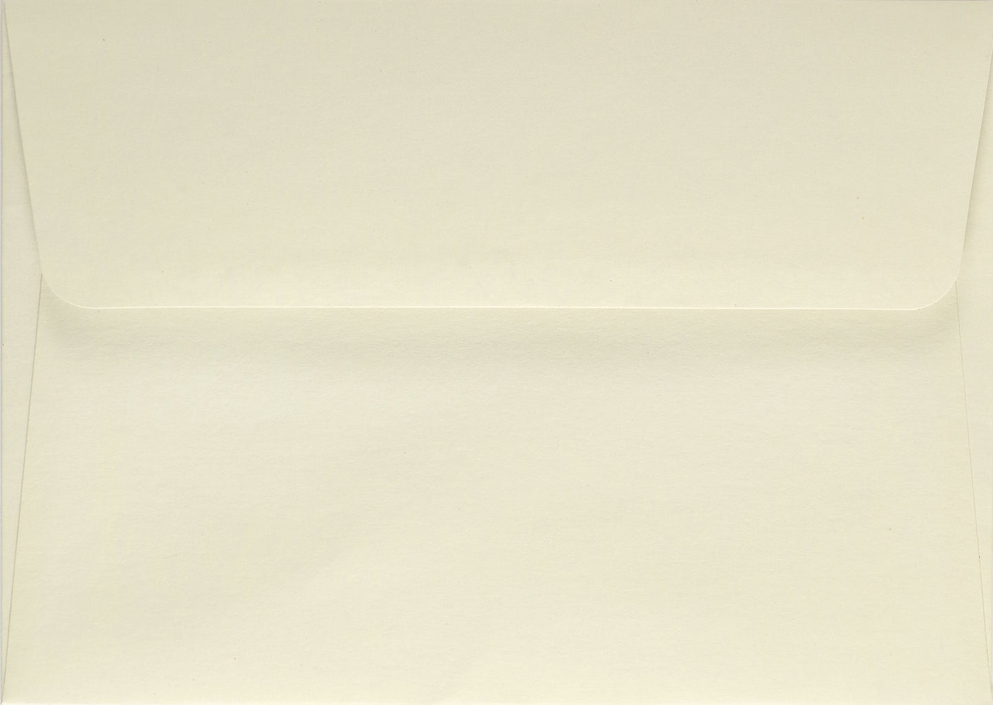 Falling Blossoms Blank Boxed Cards