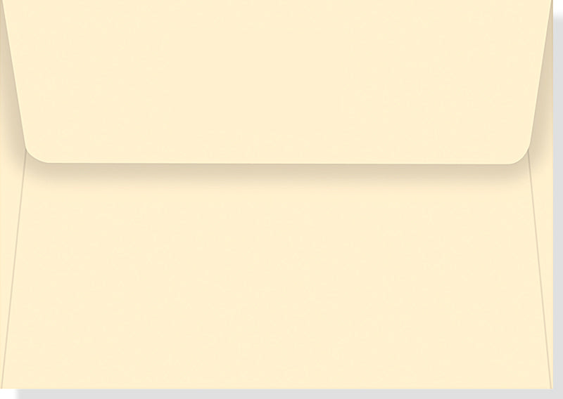 Tree Of Life Blank Boxed Cards