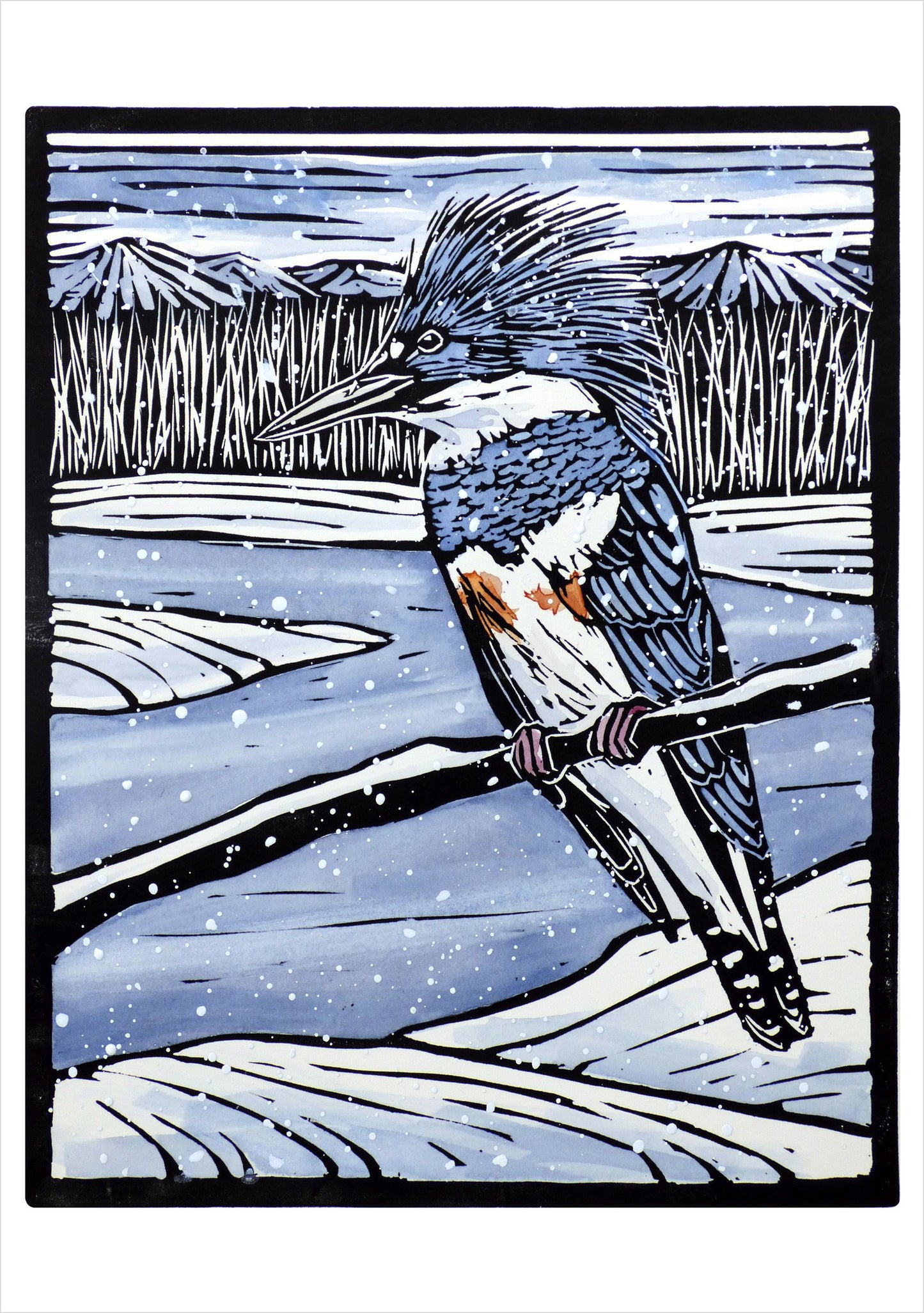 Molly Hashimoto Kingfisher In The Snow Holiday Boxed Cards