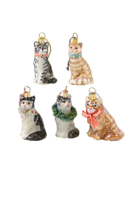 Kitten Glass Ornament