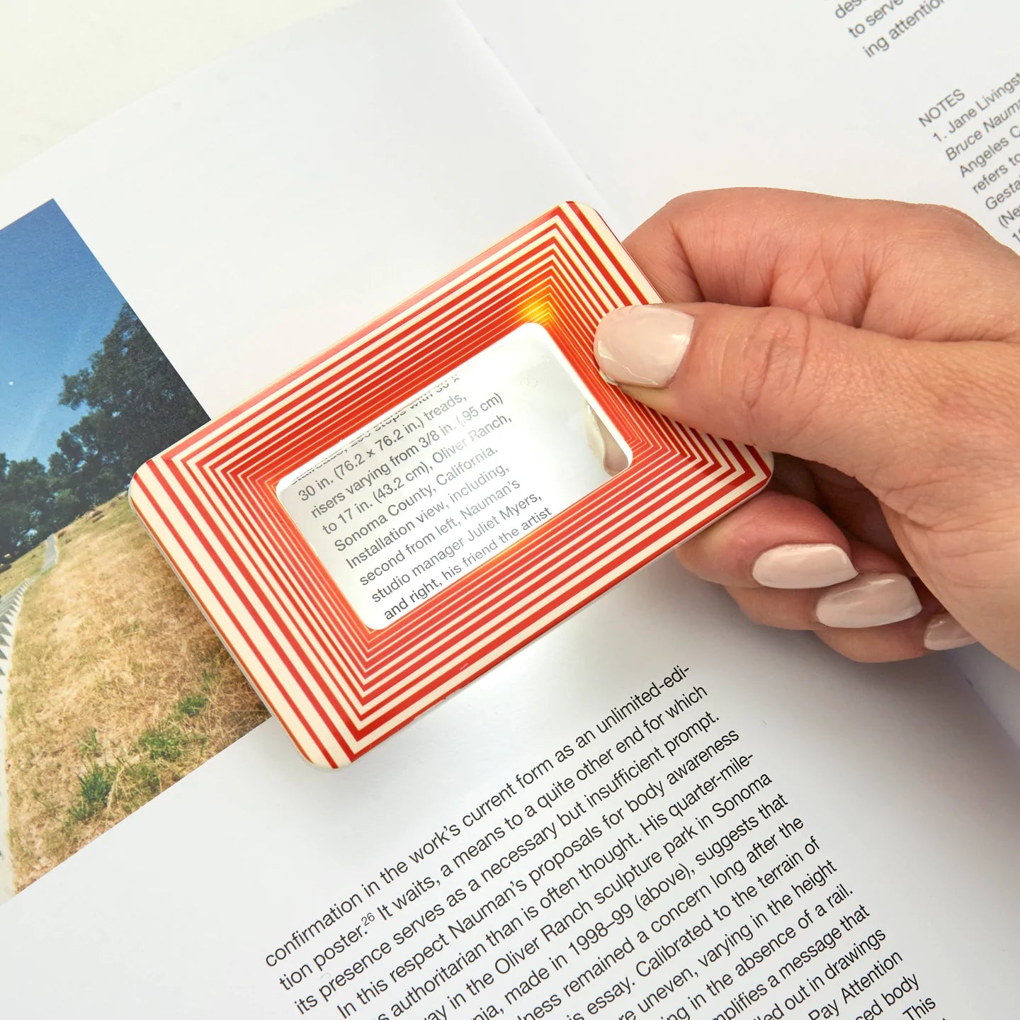 Light Up Magnifier Assorted