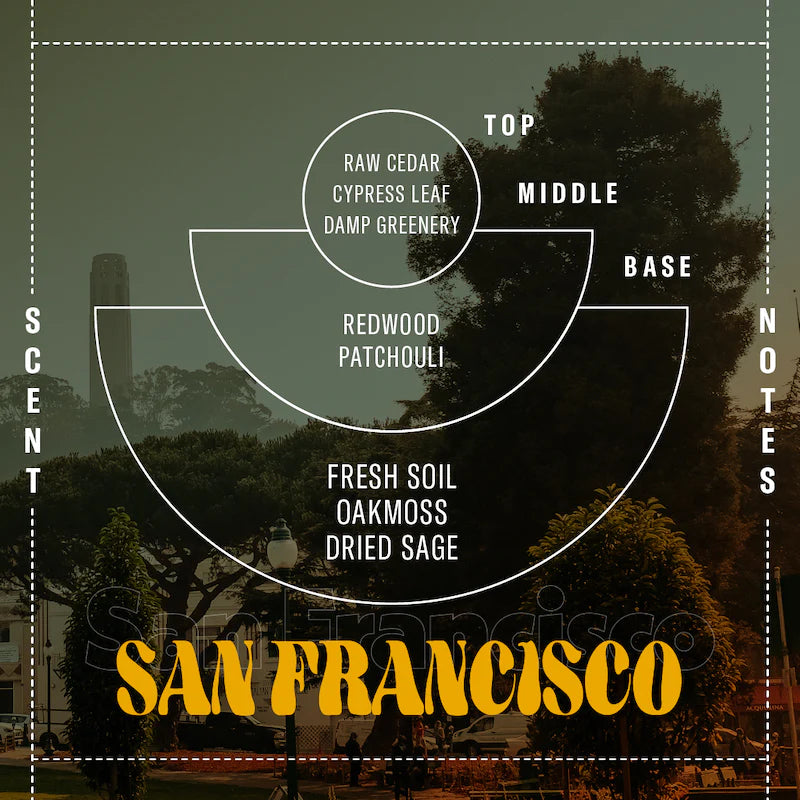 San Francisco 7.2oz Soy Candle