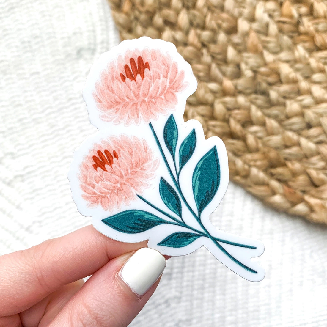 S24 Pink Chrysanthemums Vinyl Sticker