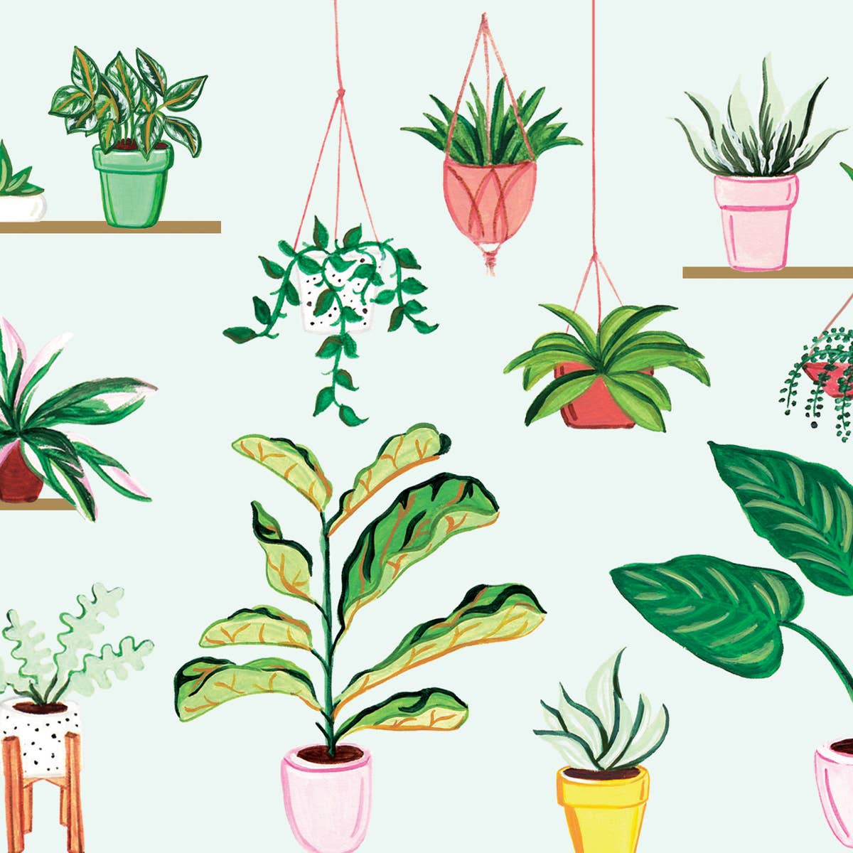 Plants Room Card