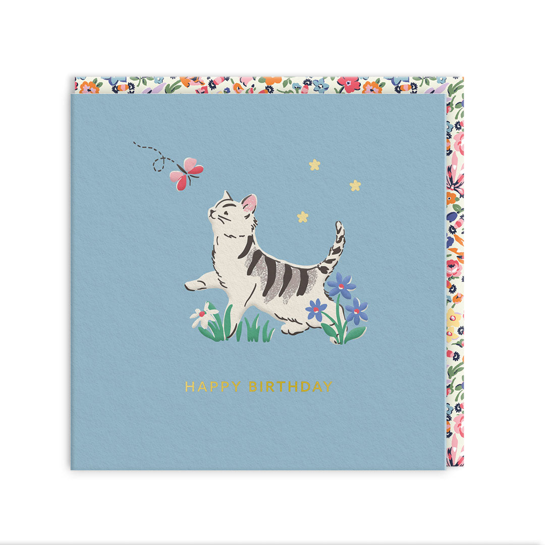Kitten Greeting Card