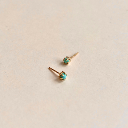Claw Set Turquoise Stud With 6 Prongs Earrings