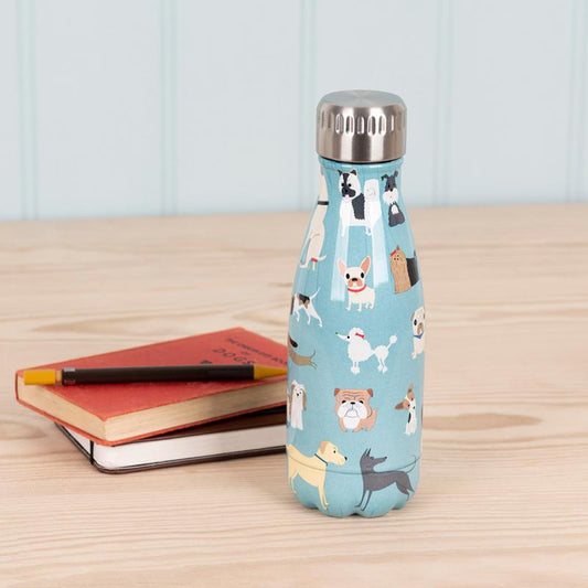 Best In Show Stainless Steel Water Bottle