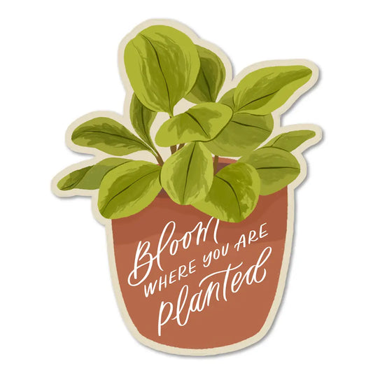 S66 Bloom Where You Are Planted Sticker