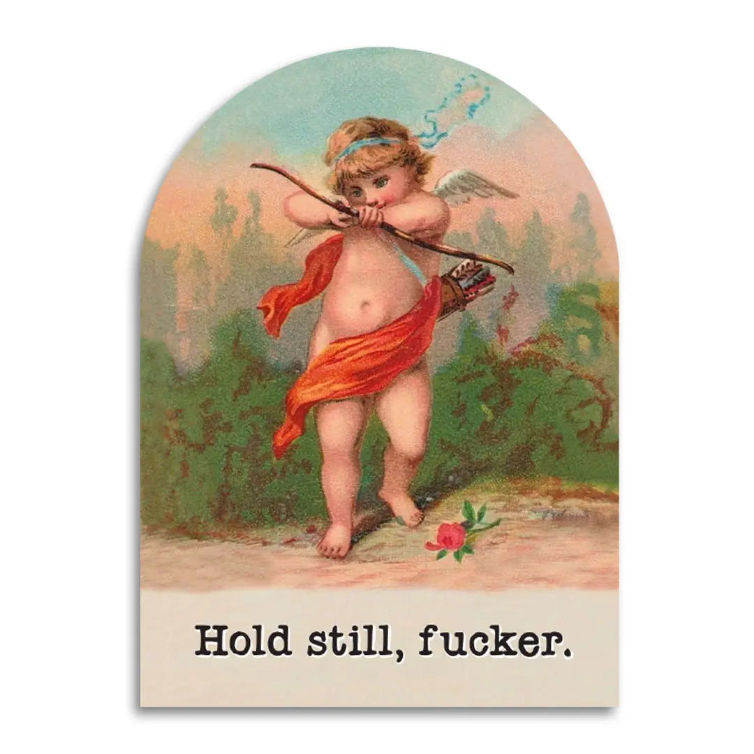 Hold Still, Fucker Funny Cupid Valentine's Day Card