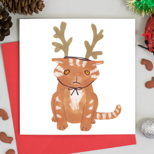 Cat In Reindeer Hat Card