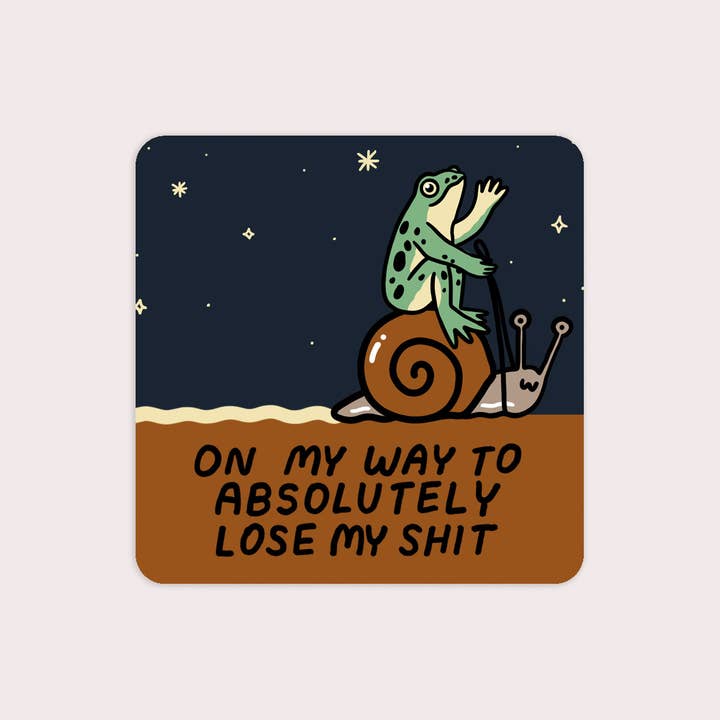 S19 Lose My Shit Waterproof Vinyl Sticker
