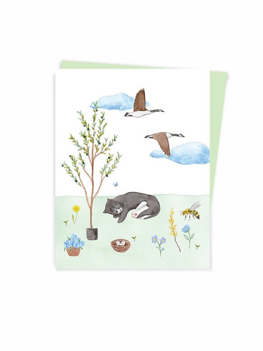 Like A Dream Card