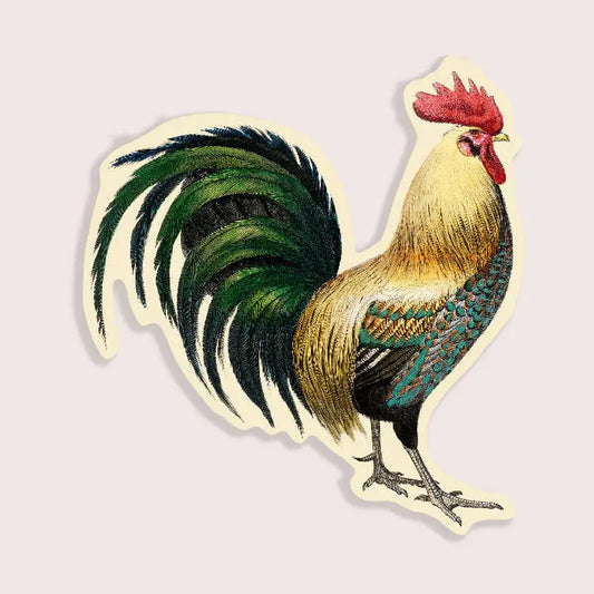 S61 Rude Rooster Gap Filler Sticker