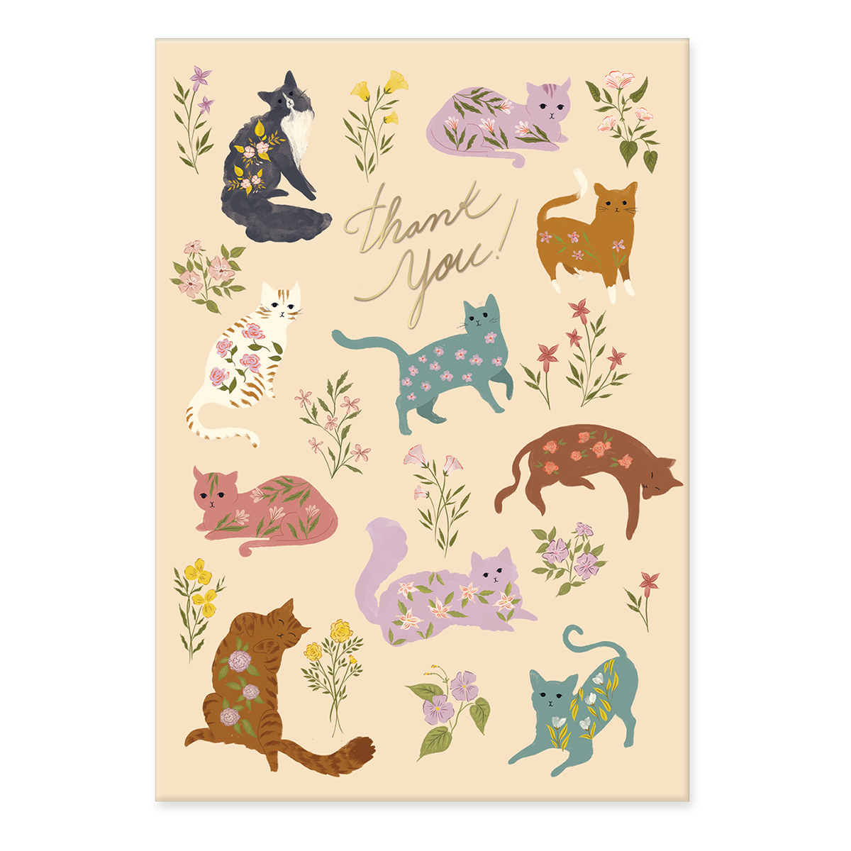 Flower Pets Cats Thank You Boxed Note Cards