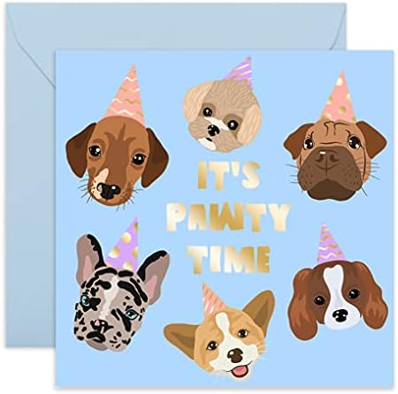 It's Pawty Time Cute Birthday Card