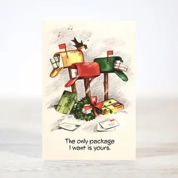 Mini 12 Days of Dirty & Flirty Christmas Boxed Cards