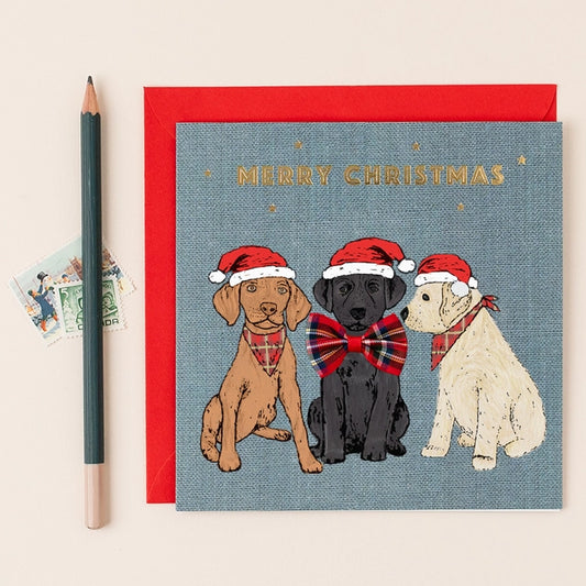 Christmas Dog Trio Card