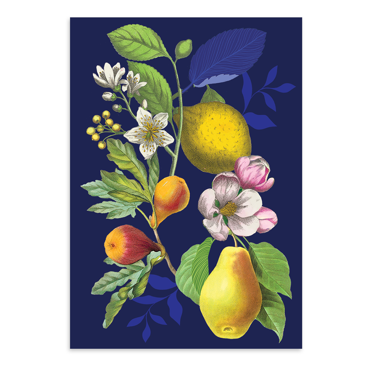 Vintage Floral Fruit Blank Boxed Note Cards
