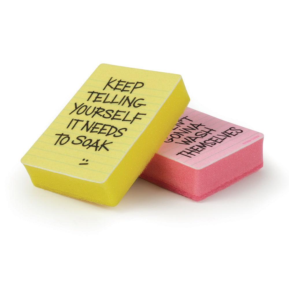 Sponges Clean Conscience