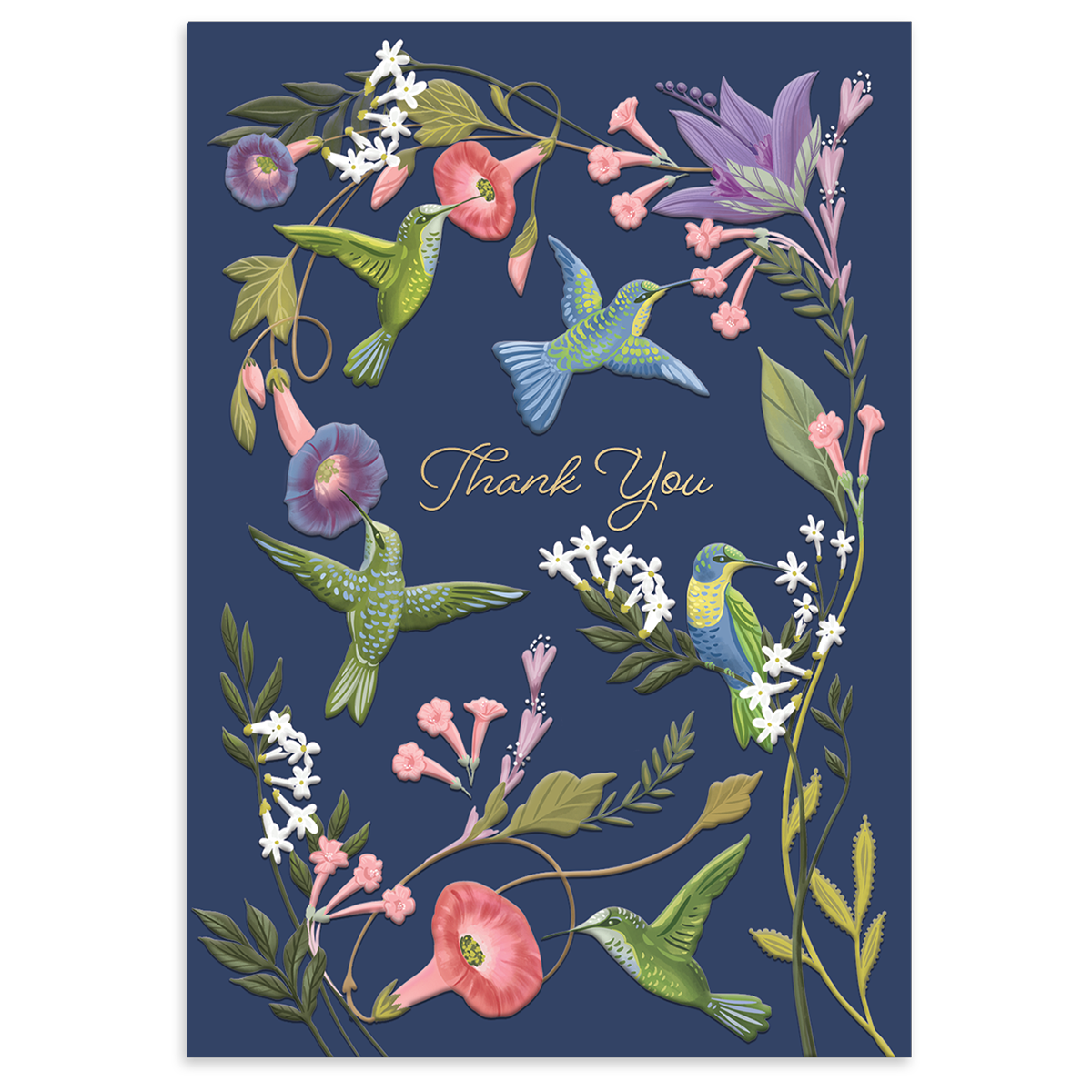 Hummingbird Thank You Boxed Note Cards