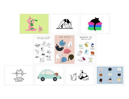 Cat Box Postcard Set