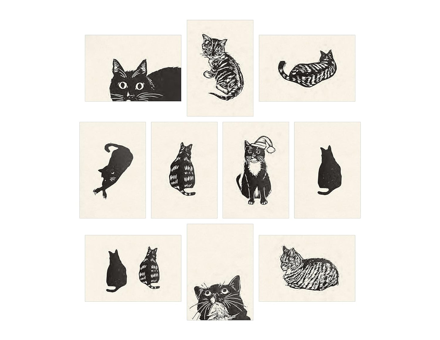 Cat Box Postcard Set