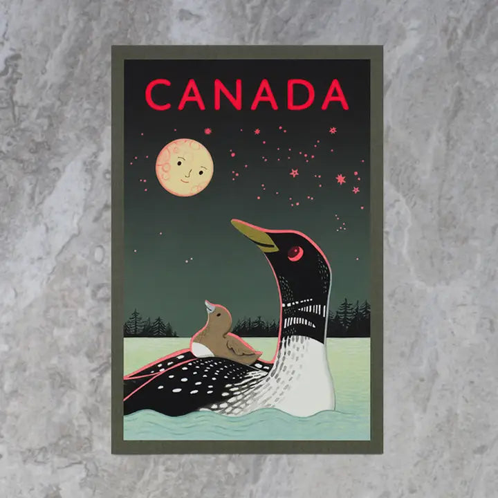 Loon of Canada Postcard