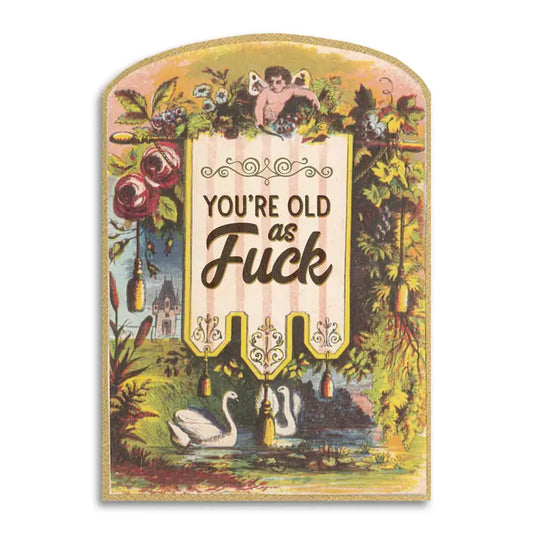 You're Old as Fuck Vintage Birthday Card