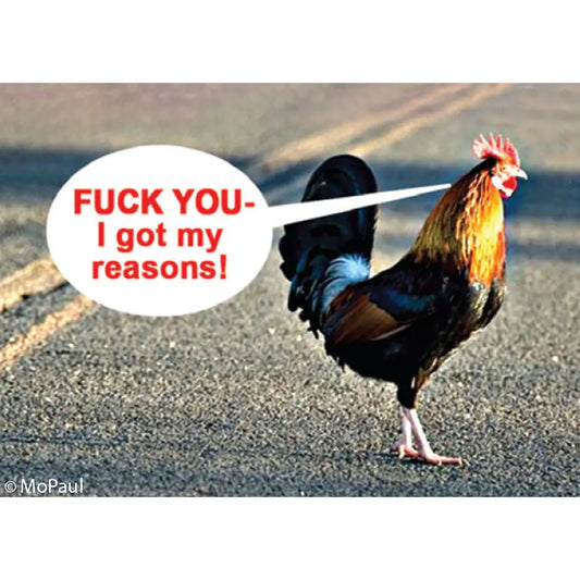 Fuck You - I Got My Reasons! (Chicken Crossing Road) Magnet