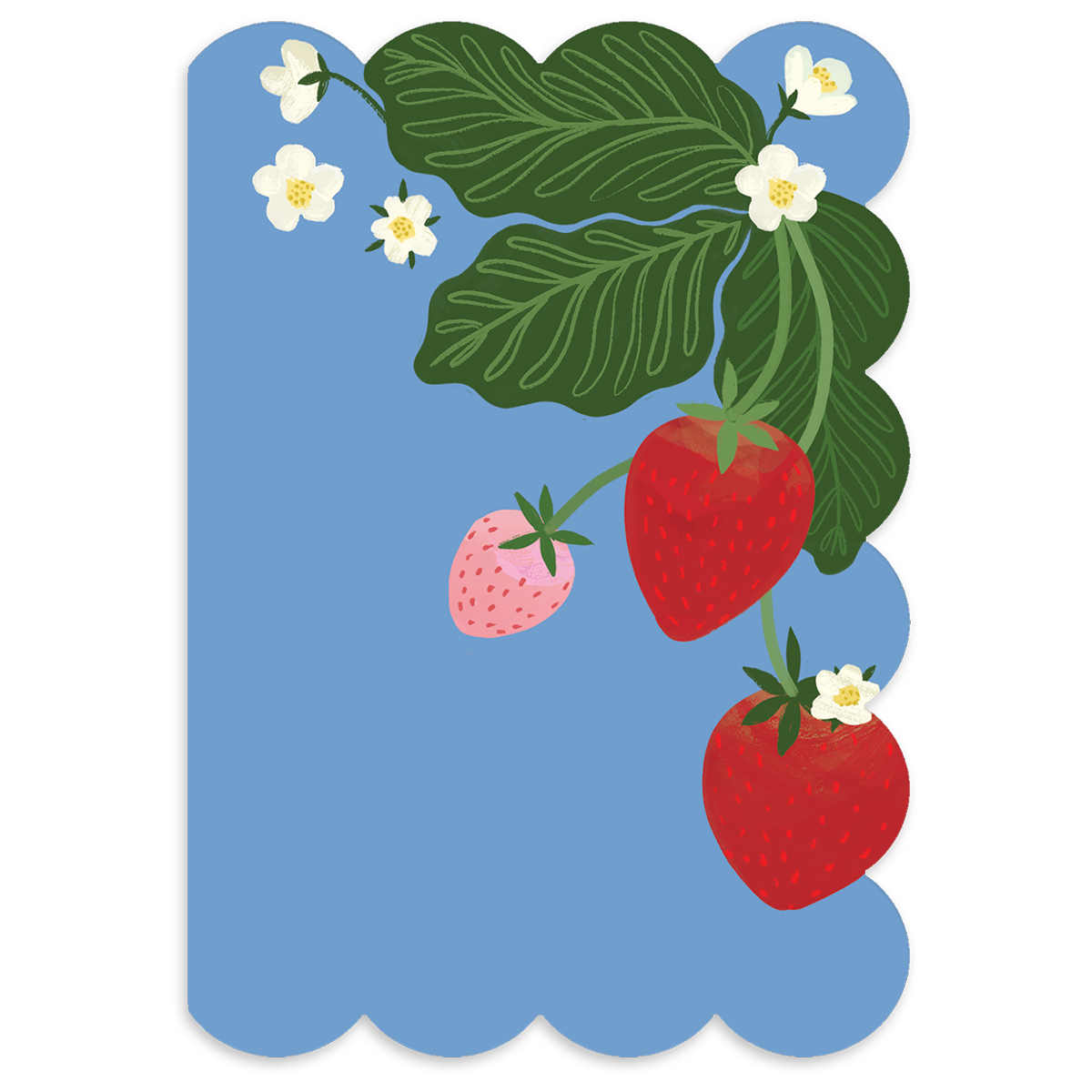 Strawberries Blank Boxed Note Cards