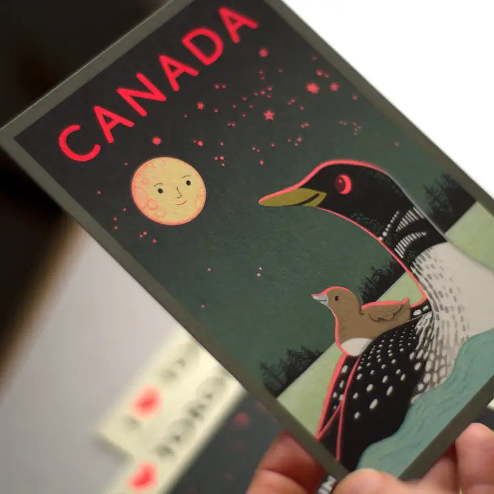 Loon of Canada Postcard