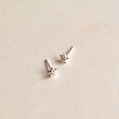 Tiny Star CZ Studs