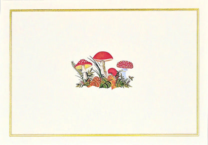 Mushrooms Blank Boxed Note Cards