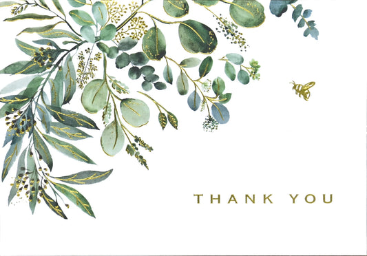 Eucalyptus Thank You Boxed Note Cards