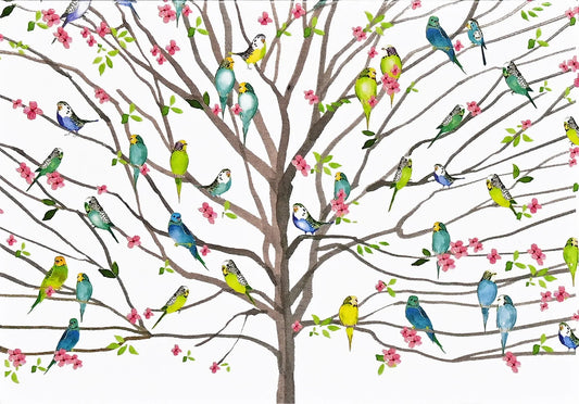 Tree Of Budgies Blank Boxed Note Cards