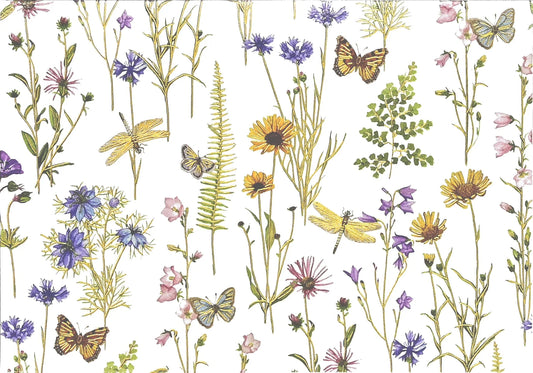 Wildflower Garden Blank Boxed Note Cards