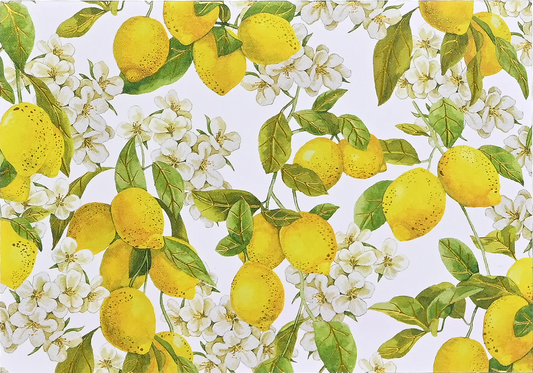 Amalfi Lemons Blank Boxed Cards