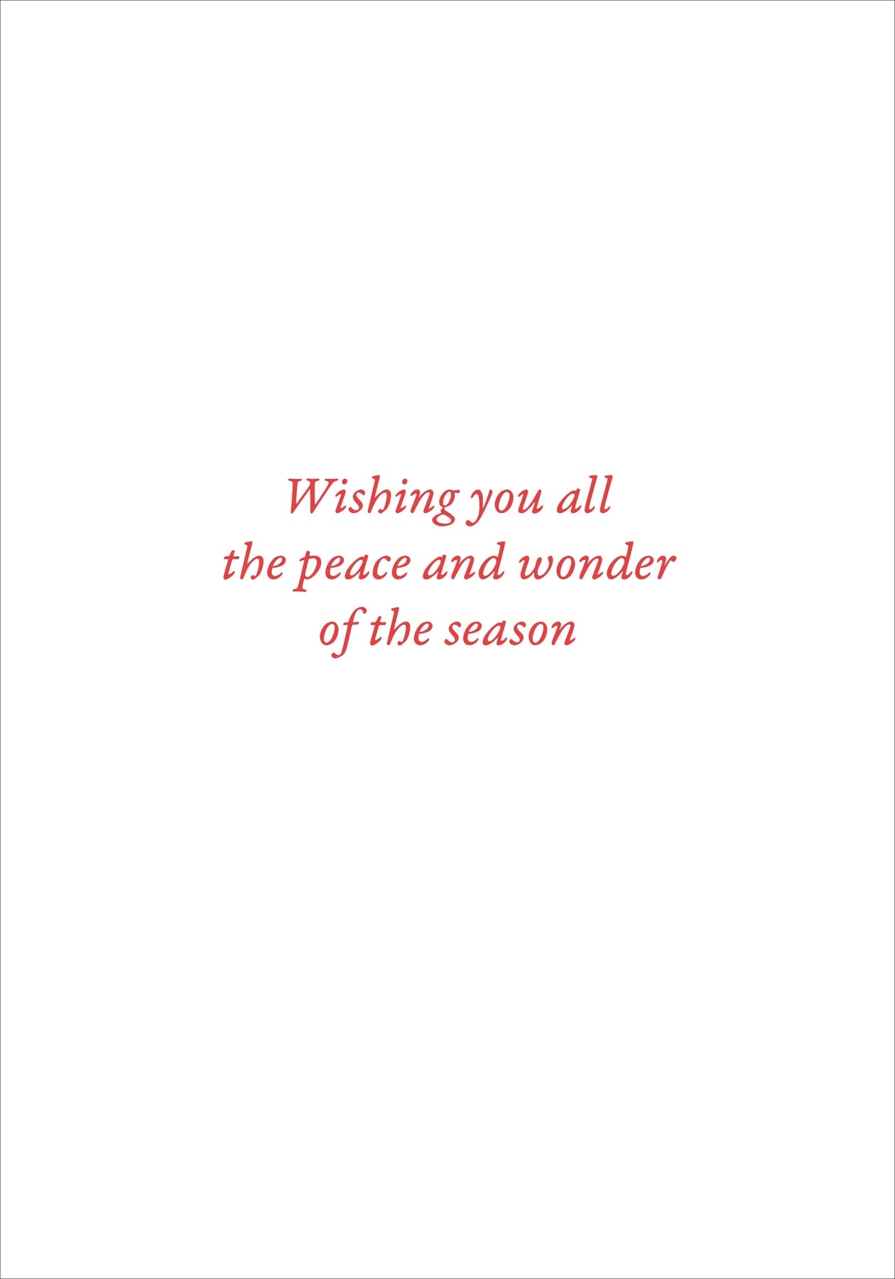 English Robins in Snow Small Boxed Holiday Cards