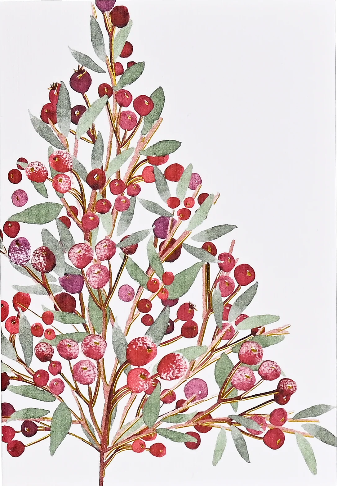 Festive Bough Small Boxed Holiday Cards