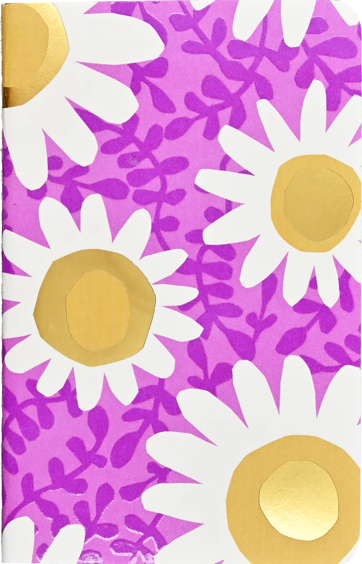 Jotter Daisies Notebook Set of 3