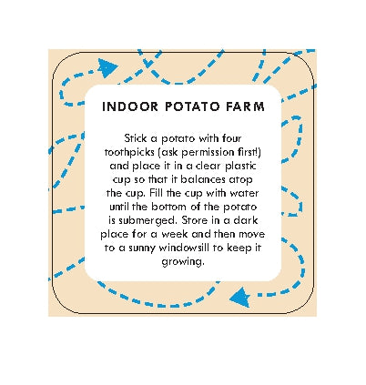 After Dinner Amusements Games to Play Indoors