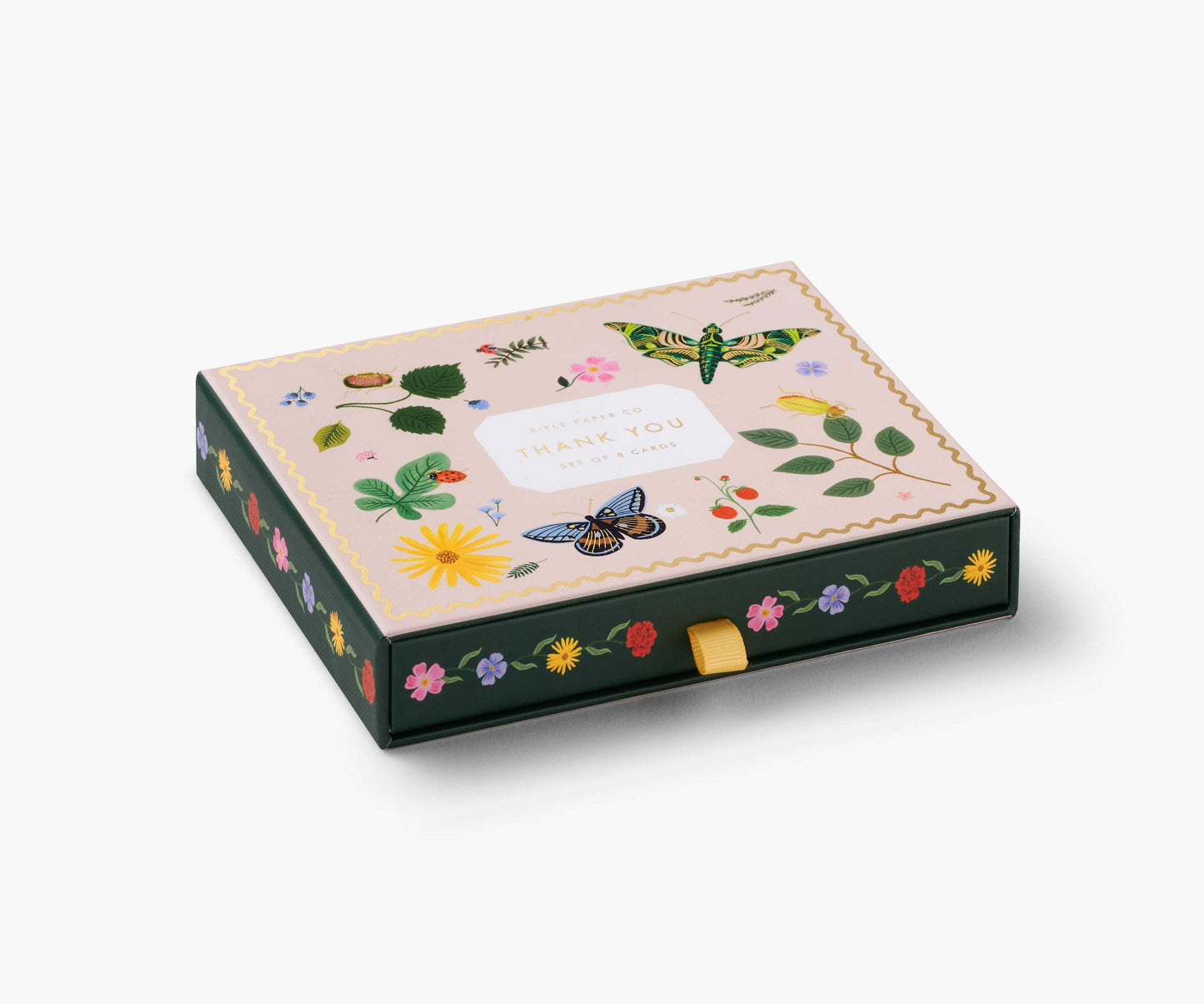 Curio Thank You Keepsake Boxed Cards