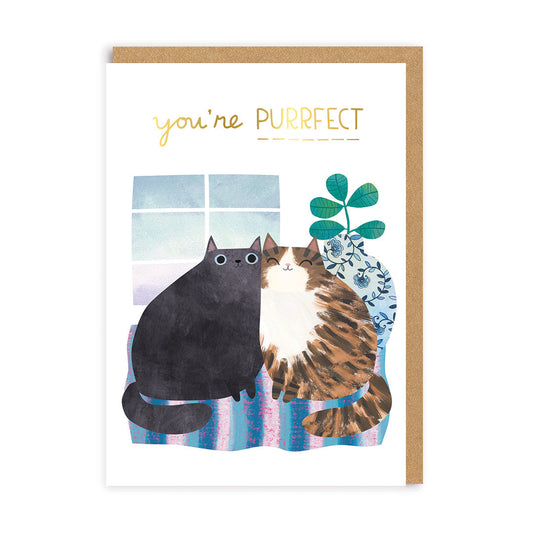 Anniversary Cats Card