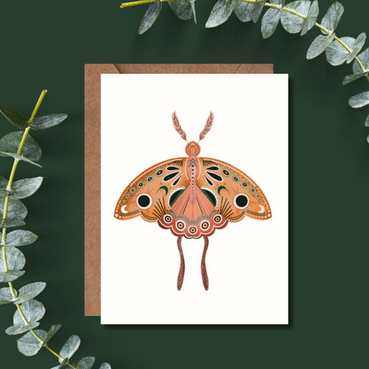 Amy Thompson's Moth Greeting Card