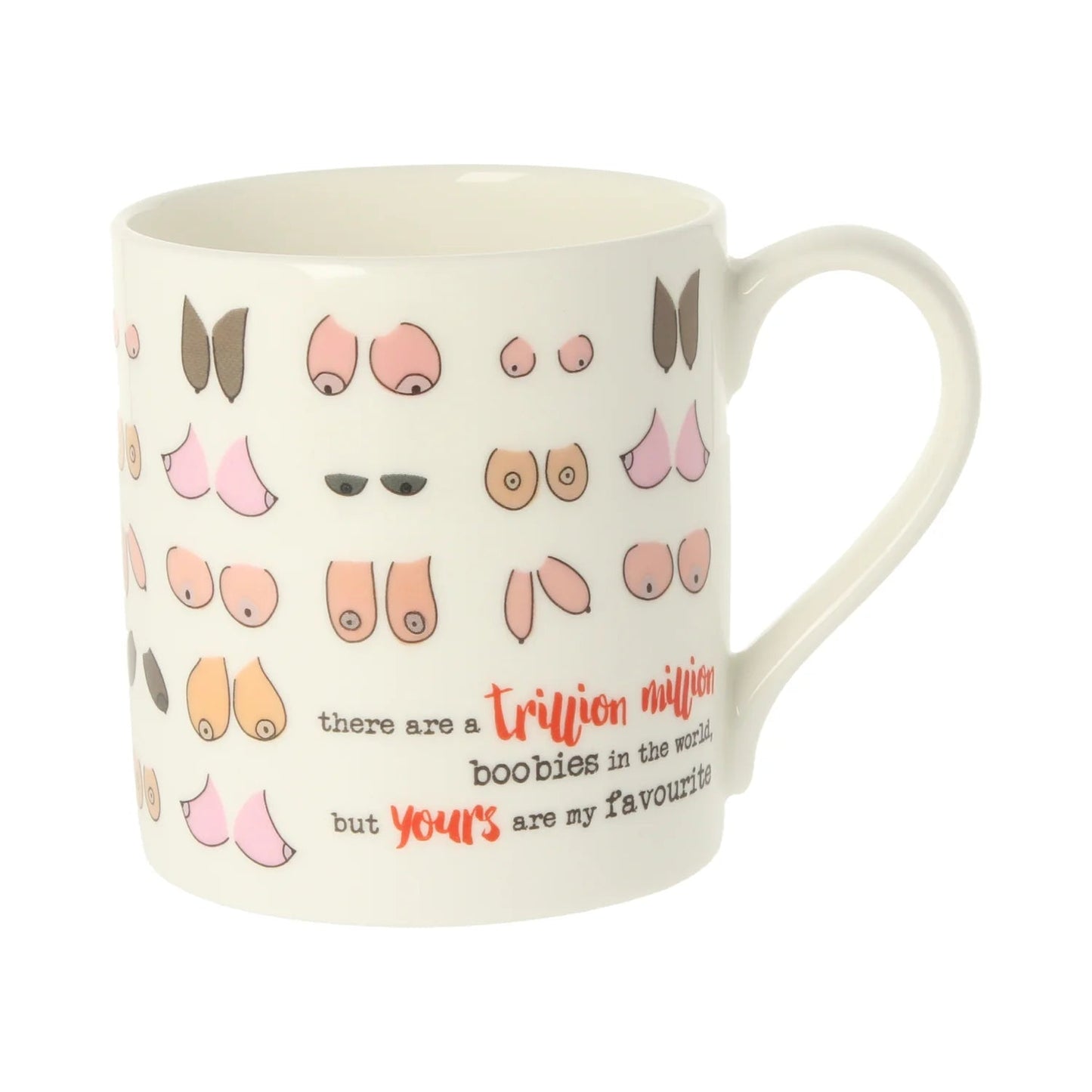 A Trillion Million Boobies Mug